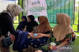 Dinkes: Jumlah stunting 2024 di Tanah Laut terdata 1.536 anak