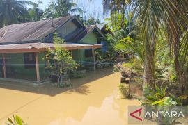 Banjir rendam 52 desa di Bireuen, 1199 warga mengungsi
