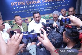 PTPN IV PalmCo target revitalisasi 60.000 ha sawit renta hingga 2026 mendatang
