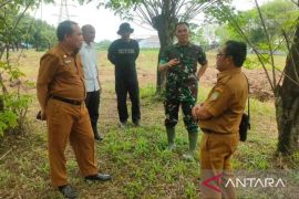Pemkab Bekasi fasilitasi pertanian perkotaan