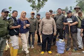 Pemprov Jawa Barat tanam pohon secara masif untuk selamatkan lahan kritis