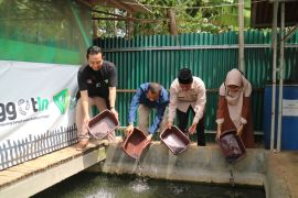 Dompet Dhuafa Lampung dan PT Bukit Asam Tbk lepaskan 10.000 bibit ikan lele