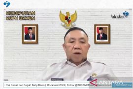 BKKBN: 57 persen ibu alami "baby blues," depresi pascamelahirkan