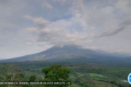 Gunung Semeru erupsi, terekam getaran banjir lahar dingin