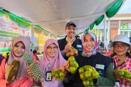 Kalbar terus gencarkan konsumsi pangan lokal yang beragam