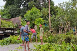 Sejumlah daerah di Sulsel gelar kerja bakti menjelang penilaian Adipura