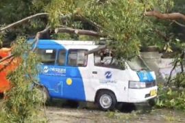 Angkot JakLinko tertimpa pohon tumbang saat melintas di Cakung, Jakarta Timur