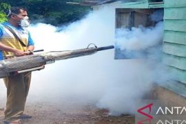 Banyuasin canangkan gerakan serentak cegah DBD