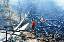 BMKG deteksi masih ada 58 titik panas di Kaltim, ada kawasan tanpa hujan