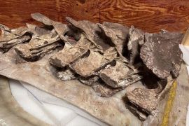 Fosil berusia 90 juta tahun di China adalah spesies dinosaurus baru