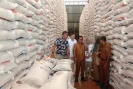 Stok beras Bulog Maluku cukup penuhi  kebutuhan hingga bulan puasa