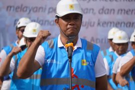 PLN catat penjualan listrik di Bali 2023 naik 16,16 persen