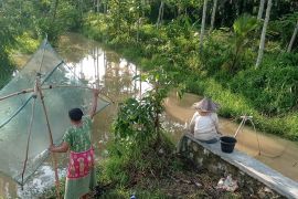 Musim hujan jadi berkah penangkap ikan di Lebak
