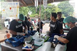 Distan Denpasar  vaksinasi anjing di kawasan Sanur