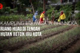 Kampung Eduwisata Bhinneka, ruang hijau di tengah hutan beton ibu kota