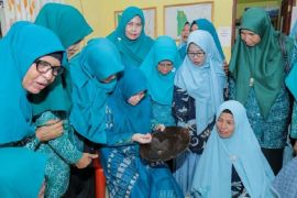 Jangan gunakan blender bikin makan pendamping ASI, khawatir akan picu diare