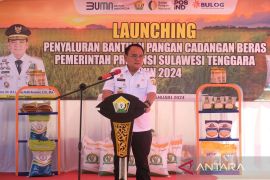 Pj Gubernur Sultra: Waspada penyakit Leptospirosis memasuki musim hujan