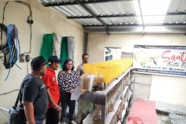 Pemkot Kediri sebut budi daya ikan cupang tembus pasar ekspor