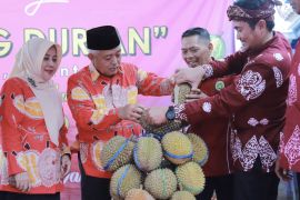 Pemkab Malang luncurkan "Kampoeng Durian" buka potensi pariwisata