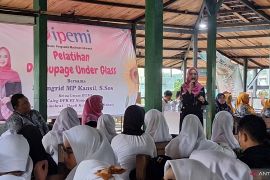 Ingrid Kansil ajak warga Depok berkreasi dan berinovasi