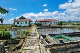 Distankan Rejang Lebong siapkan program penebaran bibit ikan