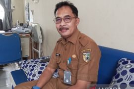 Dua warga Tanah Laut meninggal akibat DBD