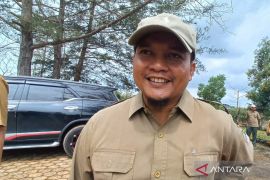 BPDAS Babel dukung gerakan tanam pohon di lahan bekas tambang