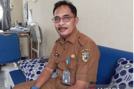 Dengue fever claims two lives in Tanah Laut