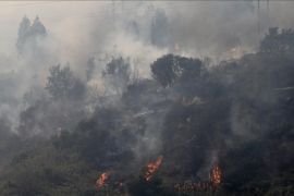 Korban tewas akibat kebakaran hutan di Chile meningkat jadi 51 orang