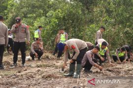 Polres Bangka tanam 2.000 batang kayu putih di bekas tambang timah ilegal