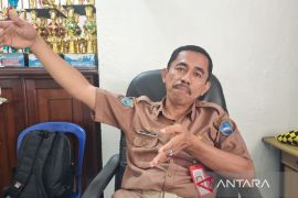 Dinkes Manokwari terus berupaya tekan kasus DBD