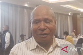 Tokoh adat Jayapura dorong masyarakat Papua tanam sagu sumber karbohidrat