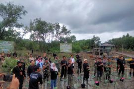 Hari Lahan Basah Sedunia Dengan Aksi Penanaman Pohon di Tarakan