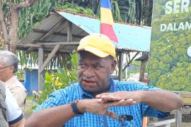 Dishut Papua berencana tanam pohon mangrove Kampung Kayo Batu