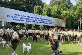 Gubernur Bali instruksikan Satpol PP Pariwisata edukasi wisatawan