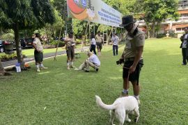 Satpol PP Pariwisata kenalkan lima anjing lokal sahabat turis