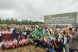 BRGM bersama KLHK tanam pohon di lahan gambut Kalteng