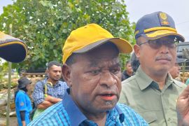 Dishut Papua ajak warga tanam mangrove Pantai Holtekamp