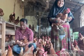 Advetorial-Tepis mitos, Ismail Sitompul sekolahkan anak ke "Negeri Tirai Bambu"