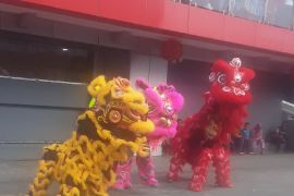 Umat Buddha Biak meriahkan Tahun Baru Imlek atraksi barongsai