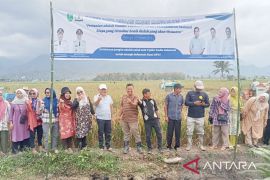 Kadis Pertanian dan Kadin Madina panen raya di Desa Hutaraja