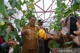 Pj Gubernur Kaltim ajak bupati/wali kota  kembangkan pertanian