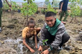 Pertamina buka beasiswa sobat bumi 2024 untuk mahasiswa