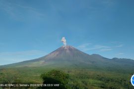 Semeru luncurkan abu setinggi 800 meter ke arah tenggara
