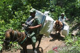 Distribusi logistik Pemilu menggunakan kuda di kawasan TN Meru Betiri