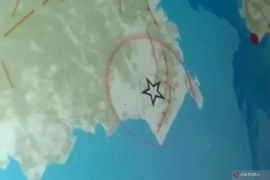 BMKG: Gempa M 4,7 guncang Kalimantan Selatan