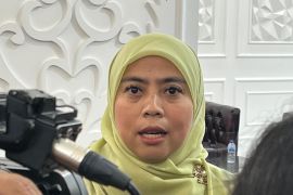 KPU RI terima ratusan juta serangan ke situs web