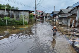 80 persen kelurahan di Tanjungpinang terendam banjir rob