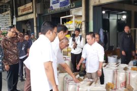 Presiden Jokowi sebut stok beras di Cipinang melimpah siap didistribusikan