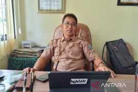 Pemprov Papua Barat salurkan 26.600 benih pala ke tiga kabupaten